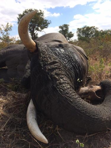 WhatsApp-Image-2017-03-22-at-15.45.03